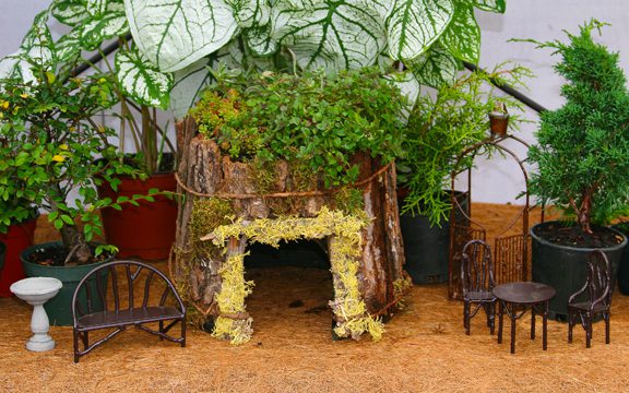 A Green Roof Fairy House? You Can Grow That! - Hyannis Country Garden