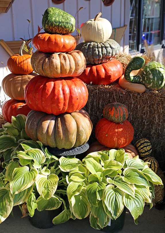 Easy, Colorful Fall Decorating - Hyannis Country Garden