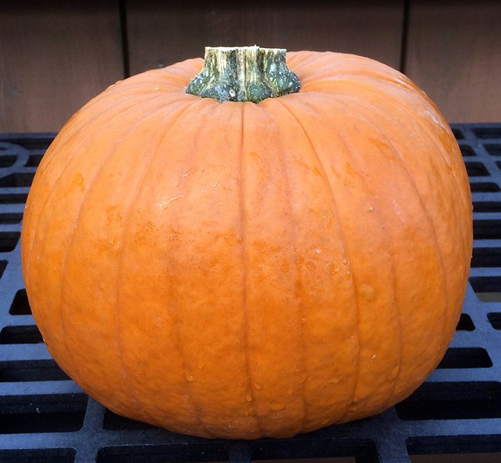 All you need is a pumpkin that's large enough to accommodate the size of the plant you want to place inside.