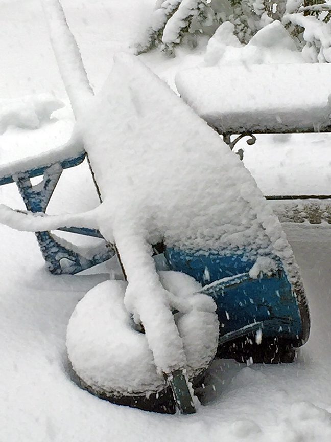 snowy_wheelbarrow