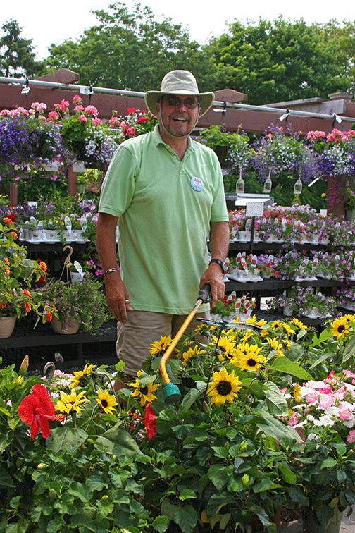 Green Team member Alan Budney knows that container plants need more than a "lick and a promise." A dry container might need two soakings in order to saturate the root ball. He also knows that sometimes it's necessary to stick that watering-wand under the leaves so that he's sure that the water is drenching the soil, not the foliage.