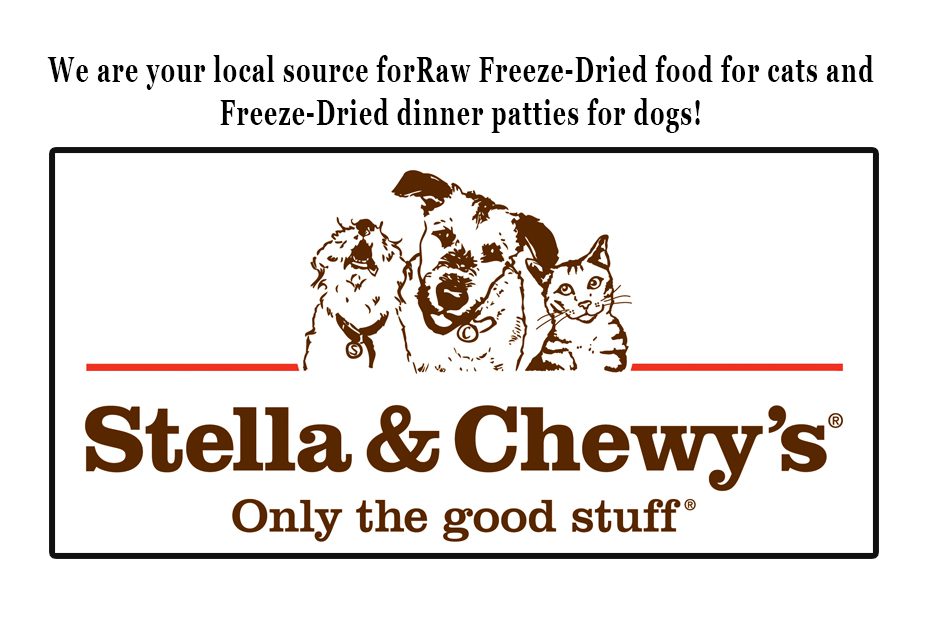 stella-and-chewys (1)