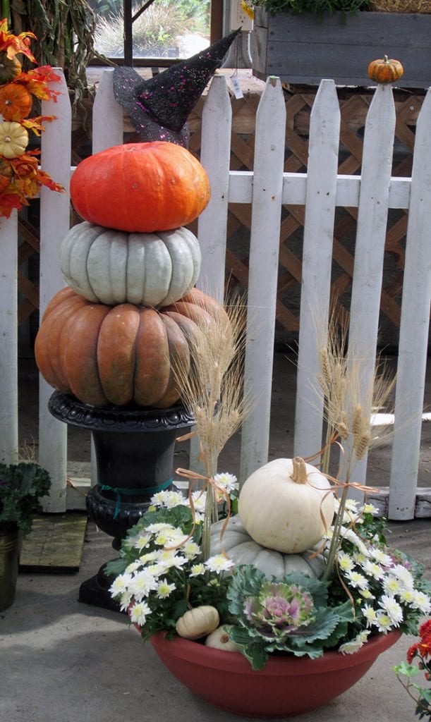 Urns can hole a stack of colorful pumpkins, and any large container can be planted with a mix of pumpkins, mums and other fall plants.