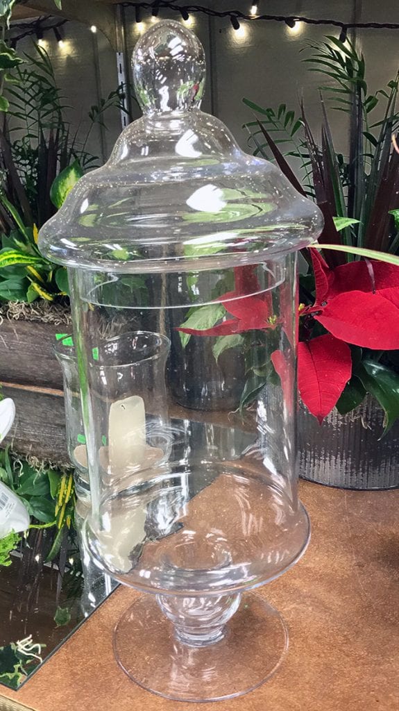 She or he likes nature and being creative. Give them a terrarium jar so they can have a green experience even in the winter! You can either pick out plants and other needed supplies, or tuck a Country Garden gift card in the jar so that they can have the fun of picking these out themselves. A gift for anyone from 9 to 90.