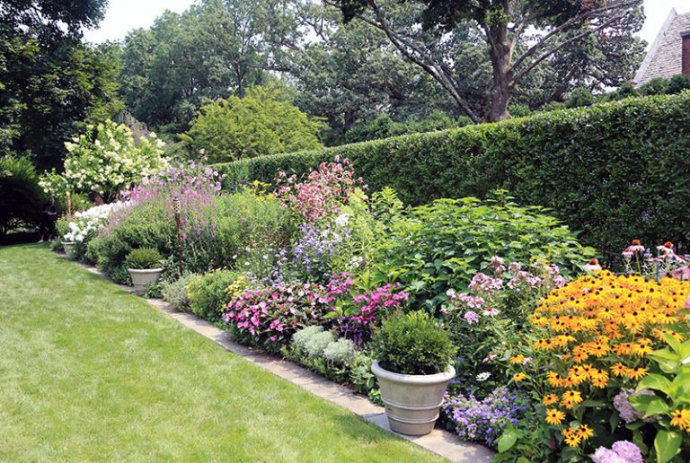 Planting A Privacy Screen for Cape Cod Landscapes