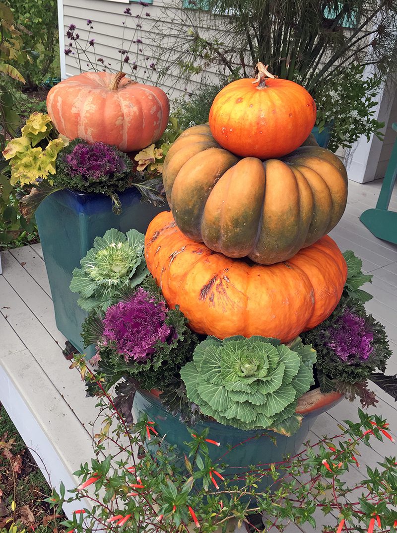 pumpkin stacks - Hyannis Country Garden